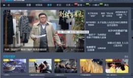 电视频道在线直播观看,电视频道在线直播精彩瞬间回顾